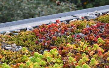 the cost of Horton Heath green roof installation
