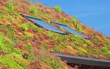 Horton Heath living roof systems