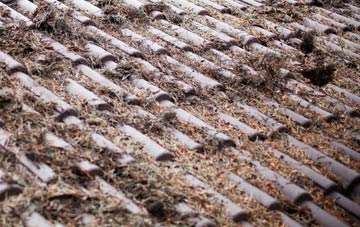 Horton Heath roof cleaning companies